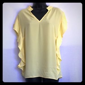 The Limited Plus Size Ruffled Short Sleeved Top.